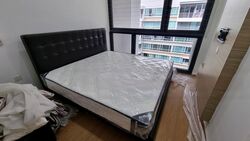 The Lakefront Residences (D22), Condominium #554577271